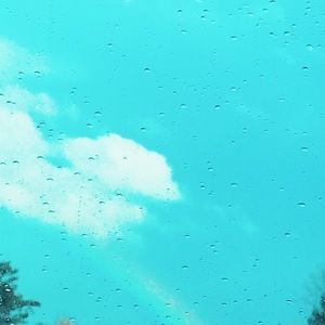 Meet your Posher, Bea